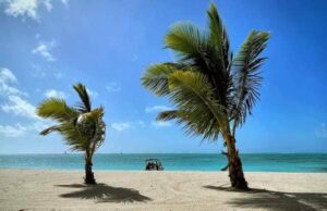 Ile aux Cerfs Beach